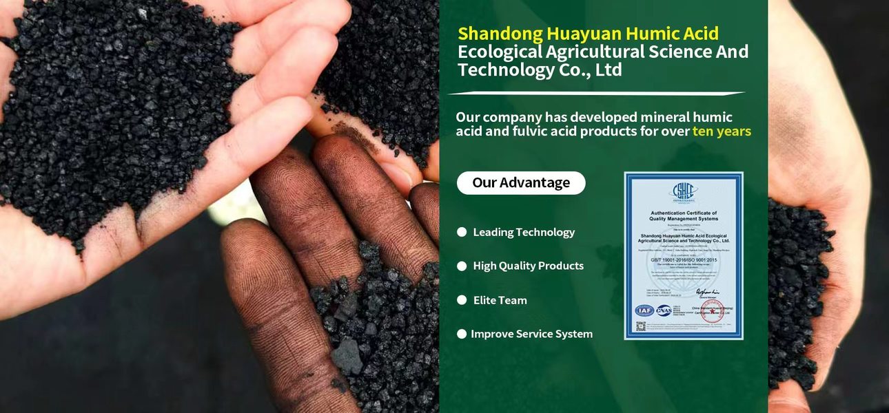 Humic Acid factory - Humic Acid Granule manufacturer from China