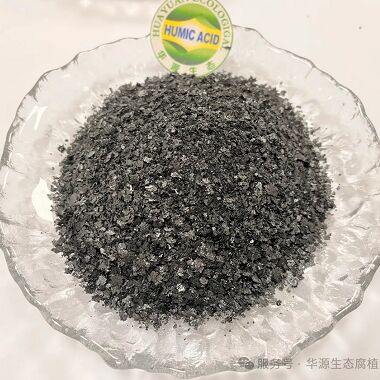 100% Water Soluble Potassium Humate Fertilizer Improves Soil Structure with 10-12% Potassium (K2O) for Enhanced Plant Growth