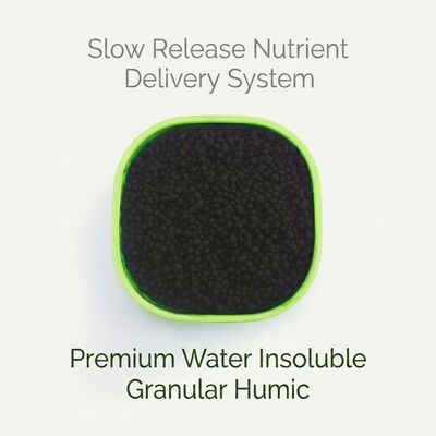 Mineral Source Humic Acid Water Soluble Fertilizer: 100% Soluble & High Efficiency for Global Agriculture