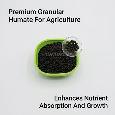 70% Humic Acid Slow Release Granule Organic Fertilizer for Desert Reclamation and Sandy Soil Amendment