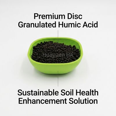 70% Humic Acid Granule with 90-120 Day Extended Release for Multi-Crop Tropical Agriculture