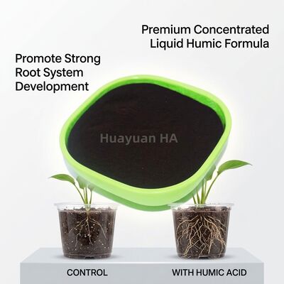 90% Ultra Pure Humic Acid Powder - 99.5% Water Soluble Leonardite Humic Acid for Zero Nozzle Clogging Fertigation