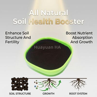 68% Humic Acid Granule for Tropical Soil Remediation with 90-120 Days Slow Release Fertilizer