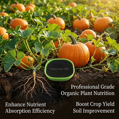 80% Humic Acid Granule with Water Efficiency Improvement and Controlled Release for Premium Crops