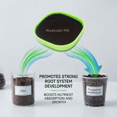 85% High Purity Humic Acid Powder for Saudi Arabia Desert Agriculture with Water Efficiency Improvement