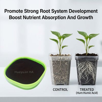 72% Fast Dissolving Humic Acid Powder for Paddy Organic Soil Improvement from Oxidized Leonardite