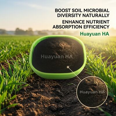 78% Humic Acid Powder for Tropical Fruit Export Quality Soil Nutrition with Naturally Rich Micro-nutrients