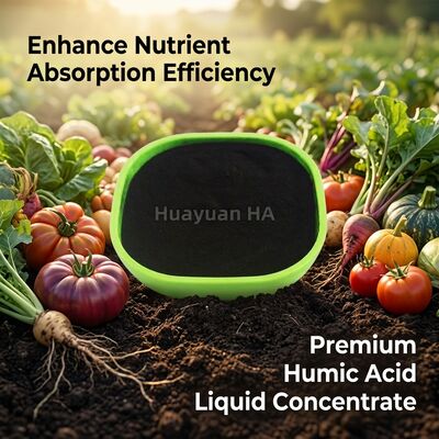 82% Humic Acid Powder from Premium Select Leonardite for EU Regulation 2019/1009 Compliant Orchards