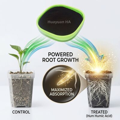 100% Organic Humic Acid Powder Reduces Soil Acidification for Rice Paddy Farming