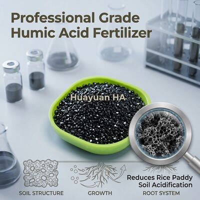 Premium Potassium Humate Granule Organic Soil Conditioner with 12% K2O and 80% Humic Acid for Mechanical Spreading