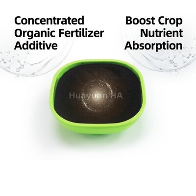 Slow Release Humic Acid Granule Soil Conditioner with 65% Humic Acid Content for Improved Soil Structure