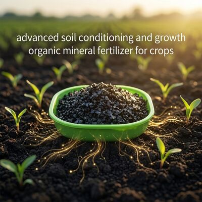 Organic Granular Humic Acid Soil Amendment with 60% Humic Acid for Slow Release Nutrition and Improved Soil Structure