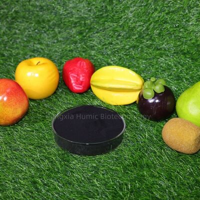 High Purity Potassium Humate Powder with ≥60% Humic Acid Content and ≥12% Potassium Content for Water Soluble Organic Fertilizer