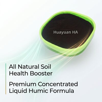 75% Humic Acid Granule with 2-4mm Uniform Size for Phosphorus Fixation Reduction in Agricultural Soil Conditioning