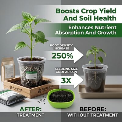75% Humic Acid Granule with 2-4mm Uniform Size for Phosphorus Fixation Reduction in Agricultural Soil Conditioning