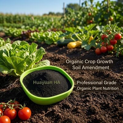 Premium 60% Humic Acid Granule Organic Fertilizer with Slow Release and Uniform Granulation for Paddy Rice Fields