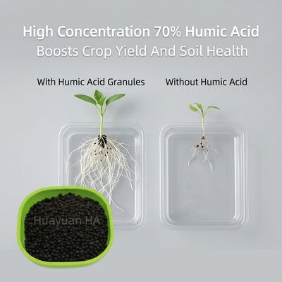 68% Humic Acid Granule for Tropical Farmland Restoration - 2-5mm Organic Soil Amendment