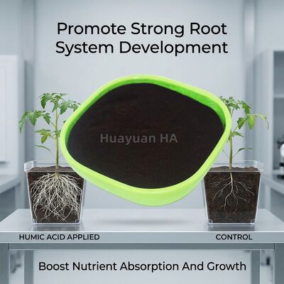 72% Humic Acid Granule Fertilizer Cold Tolerant for Calcareous Soil Enhancement in Turkey