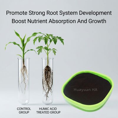 75% Humic Acid Powder 100% Water Soluble for Philippines Agriculture Rice and Coconut Soil Fertility