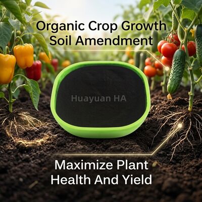 80% Premium Humic Acid Powder for Philippines Export Crop Excellence Compliant with Japan/Korea Import Standards