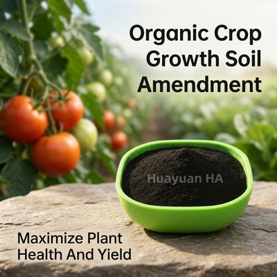 70% Humic Acid Granule with 90-120 Day Release for Center Pivot Desert Farming
