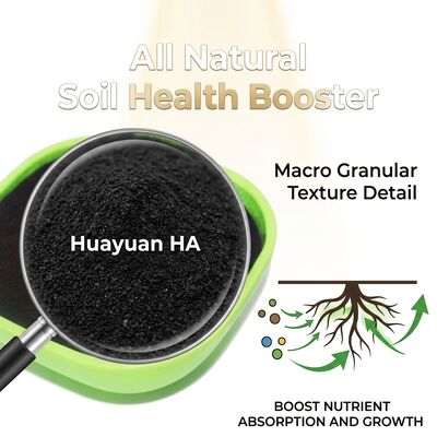 Sandy Soil Improvement Humic Acid Granule with Exceptional Water Retention for Date Palm Optimisation