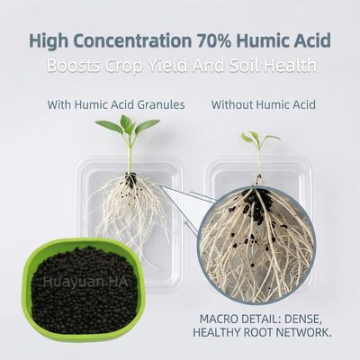 Sandy Soil Improvement Humic Acid Granule with Exceptional Water Retention for Date Palm Optimisation