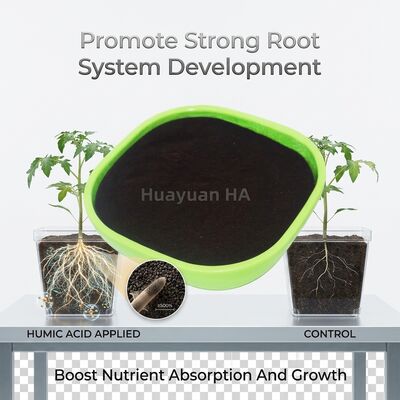 High-Organic-Matter Humic Acid Granule Soil Amendment for Rubber Trees with Slow-Release Carbon Source