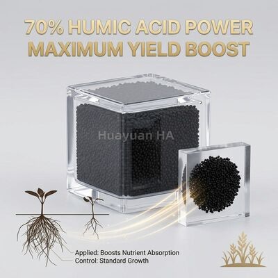 High-Organic-Matter Humic Acid Granule Soil Amendment for Rubber Trees with Slow-Release Carbon Source