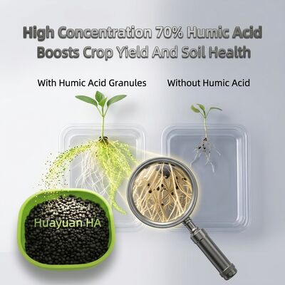 Organic Humic Acid Granular Fertilizer 40-70% Reduces Soil Acidification for Rice Paddy Farming