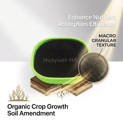 Organic Humic Acid Granular Fertilizer 40-70% Reduces Soil Acidification for Rice Paddy Farming