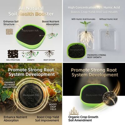 Slow-Release Humic Acid Granule with 85% Organic Matter and 2-4mm Particle Size for Soil Conditioning