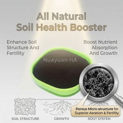 Slow-Release Humic Acid Granule with 85% Organic Matter and 2-4mm Particle Size for Soil Conditioning