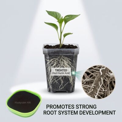 Concentrated Humic Acid Powder with 85% Organic Matter and 40%-70% Humic Acid Content for Rubber Tree Soil Conditioner