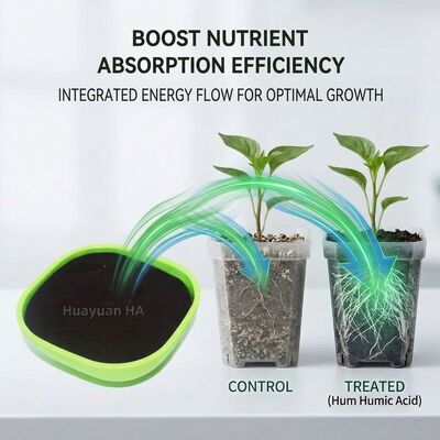 Water Soluble Humic Acid Powder with 40%-70% Humic Acid Content for Coffee Farming Optimisation