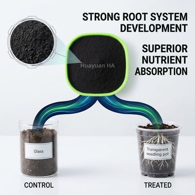 Water Soluble Humic Acid Powder with 40%-70% Humic Acid Content for Coffee Farming Optimisation