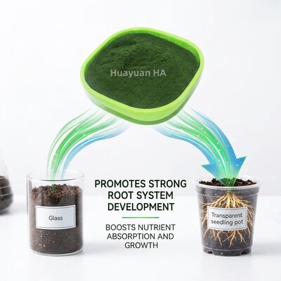 Water Soluble Humic Acid Powder with 40%-70% Humic Acid Content for Coffee Farming Optimisation