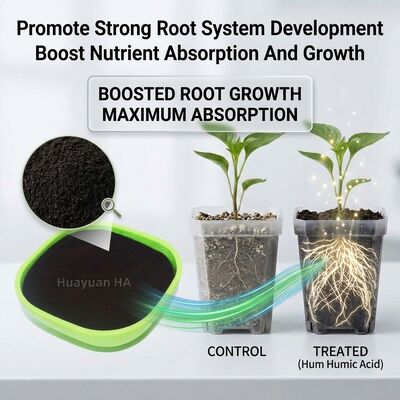 100% Organic Humic Acid Powder Reduces Soil Acidification for Rice Paddy Farming