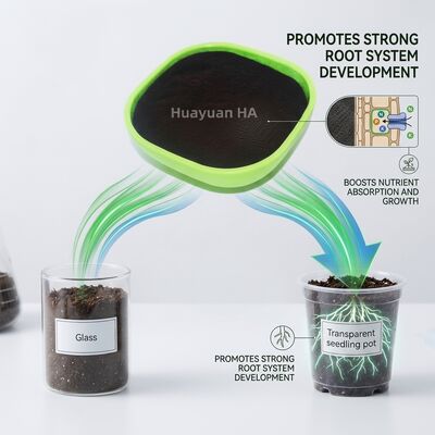 70% Humic Acid Powder Water Soluble Fertigation Grade Soil Amendment for Palm Oil Plantations