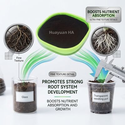 70% Humic Acid Powder Water Soluble Fertigation Grade Soil Amendment for Palm Oil Plantations