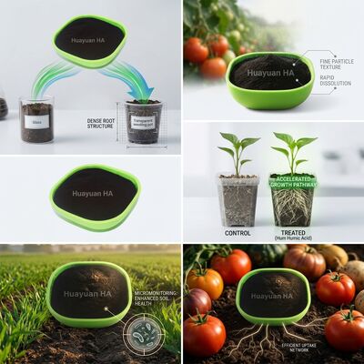 70% Humic Acid Powder Water Soluble Fertigation Grade Soil Amendment for Palm Oil Plantations