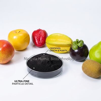 Water-Soluble Potassium Humate Powder with 95%-100% Solubility, 60-70% Humic Acid, and 8-12% K2O for Fertigation