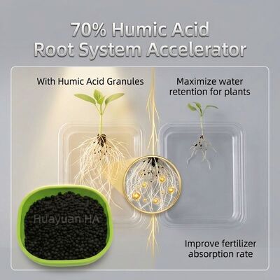 Organic Humic Acid Granule Soil Conditioner with 60% Humic Acid Improves Soil Structure and Slow Release Nutrition for Coffee and Durian Plantations