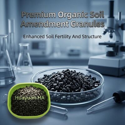 Natural Leonardite Humic Acid Granule with 65% Humic Acid Content for Slow Release and Improved Soil Biology
